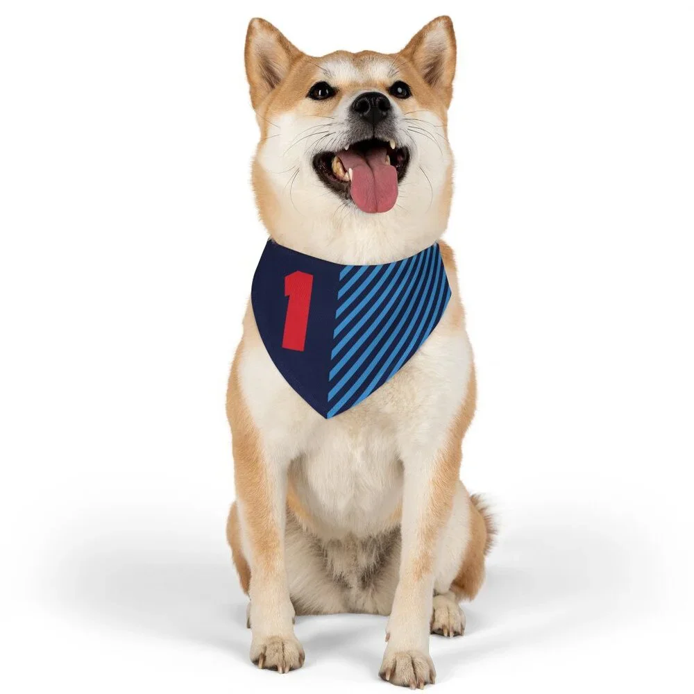 Max Verstappen Dog Bandana - F1 Dog Collar